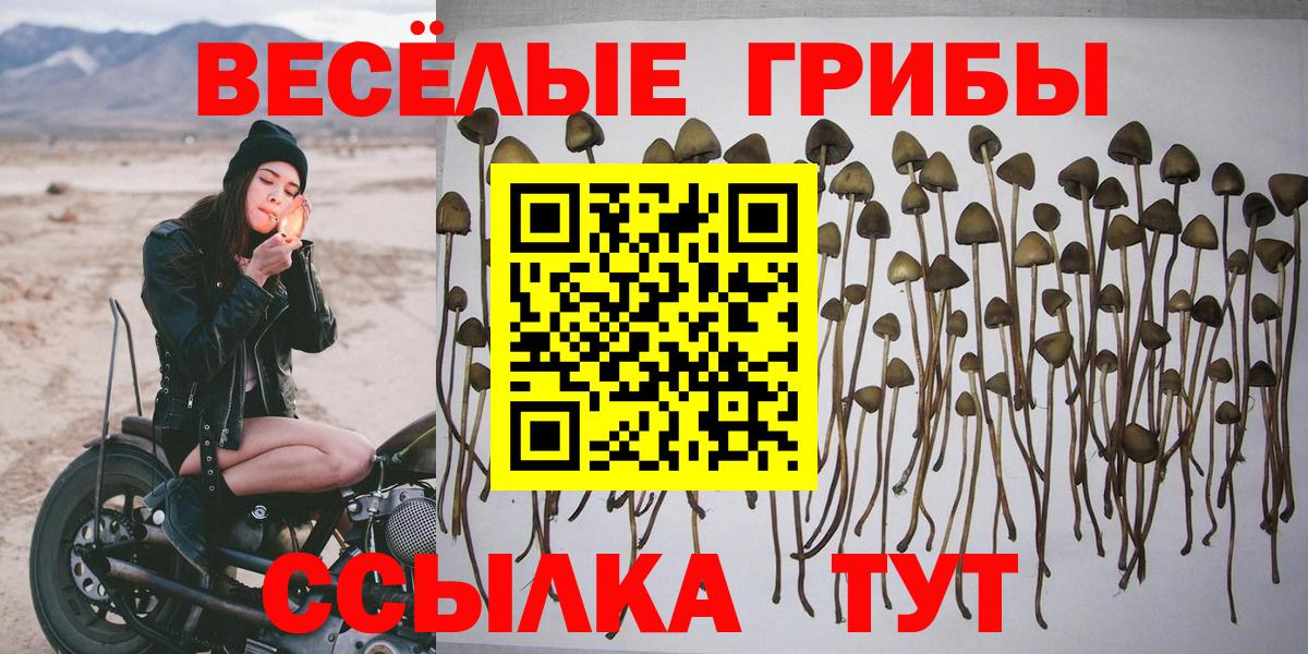 Псилоцибиновые грибы ЛСД  Вход с VPN  Верхняя Пышма 