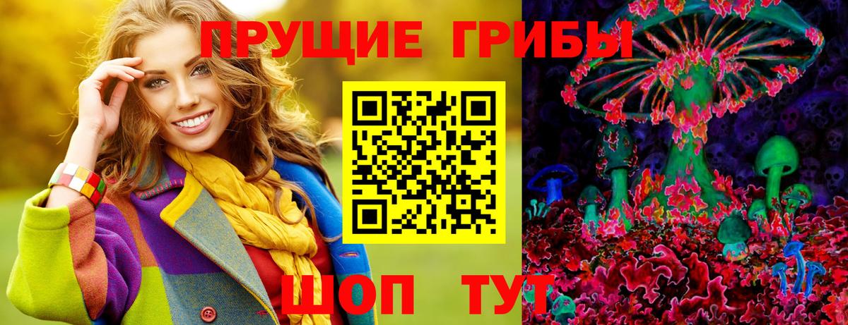 Псилоцибиновые грибы мицелий Верхняя Пышма